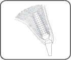 DB Precision Implant